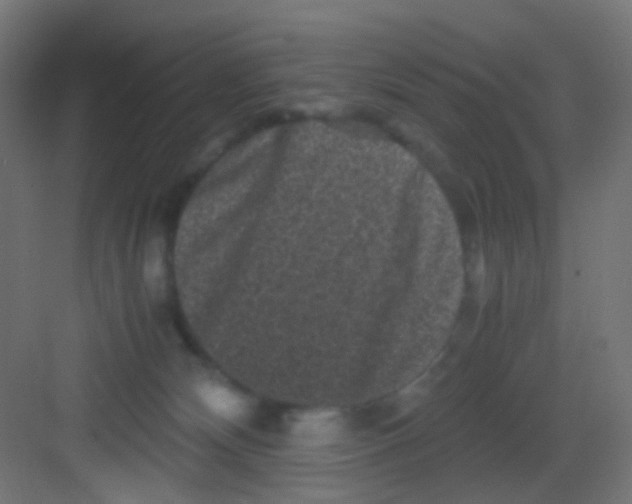 X0000081390132200702090047