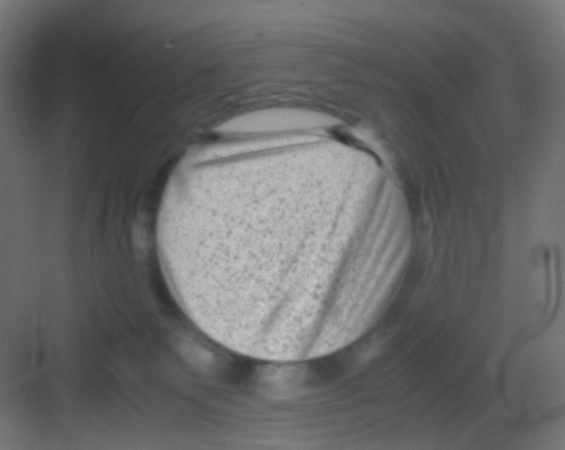 X0000081390135200702090047