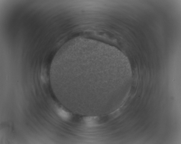 X0000081390136200702090047