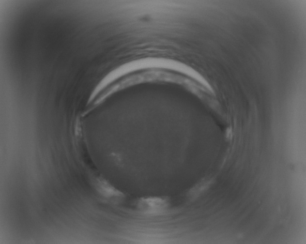 X0000081390137200702090047