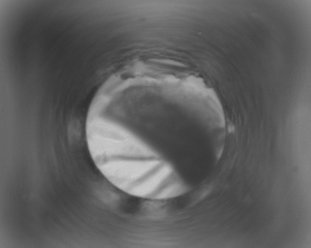 X0000081390139200702090047