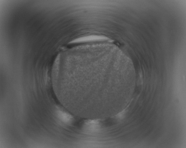 X0000081390140200702090047