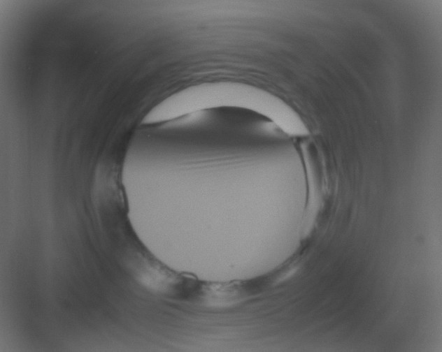 X0000081390141200702090047