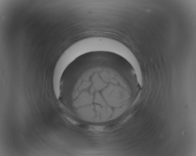 X0000081390143200702090047