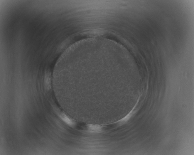 X0000081390144200702090047