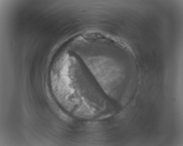 X0000081390145200702090046