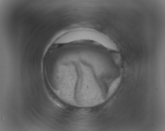 X0000081390148200702090047