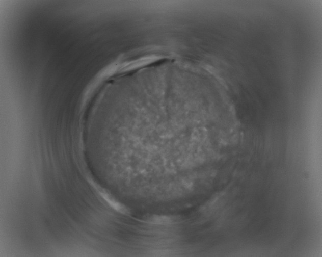 X0000081390149200702090047