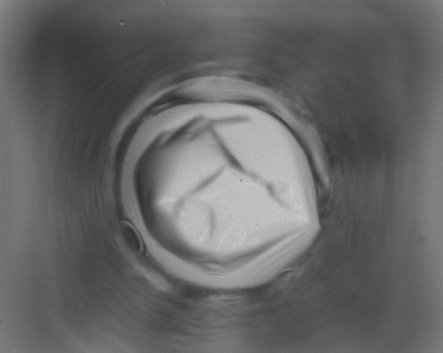 X0000081390150200702090047