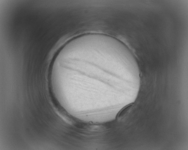 X0000081390151200702090047