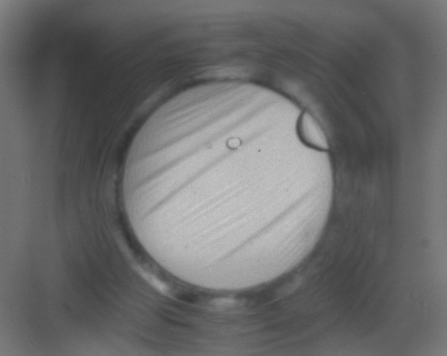 X0000081390153200702090047