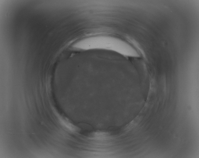 X0000081390154200702090047