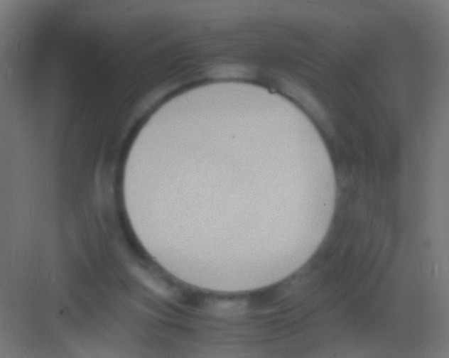 X0000081390155200702090047