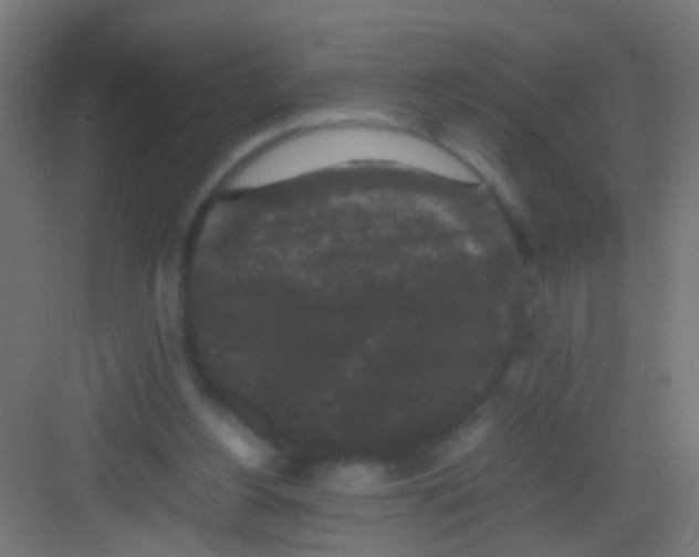 X0000081390156200702090047