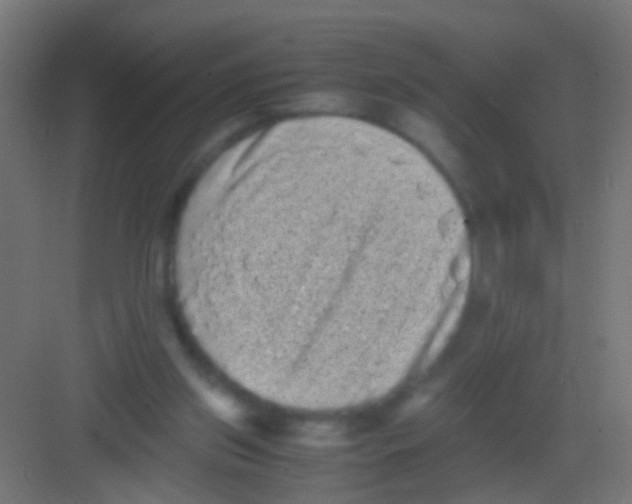 X0000081390157200702090047