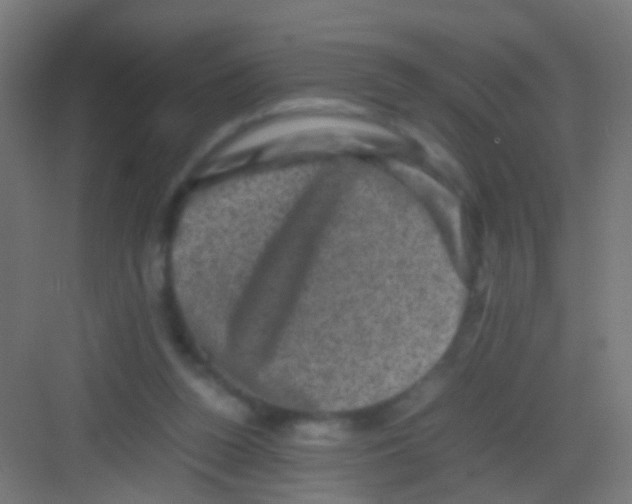 X0000081390160200702090047