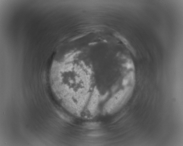 X0000081390161200702090047