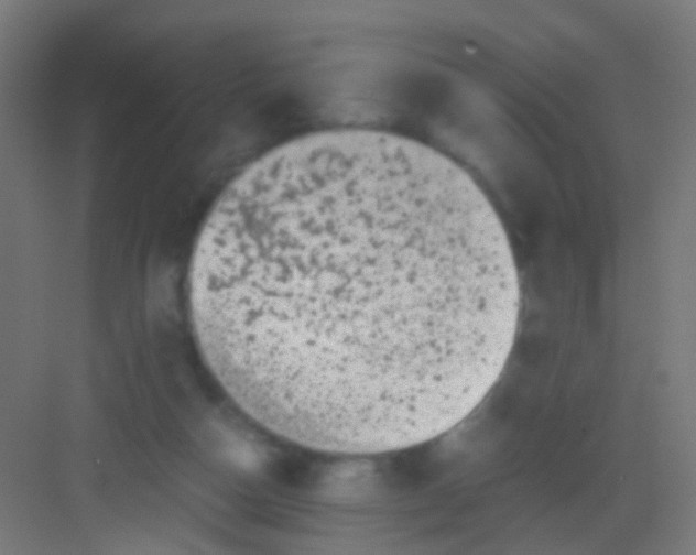 X0000081390162200702090047