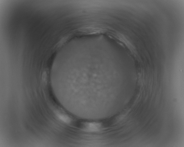 X0000081390165200702090047