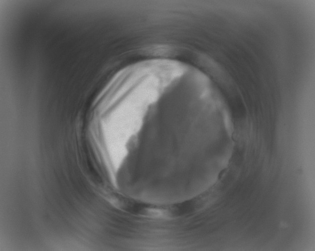 X0000081390167200702090047