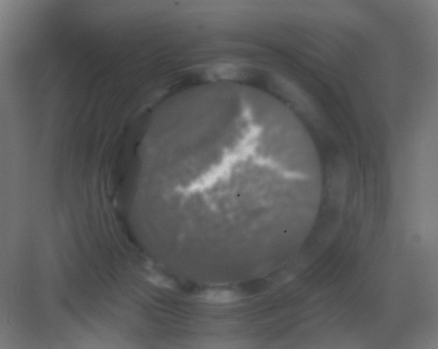 X0000081390169200702090047