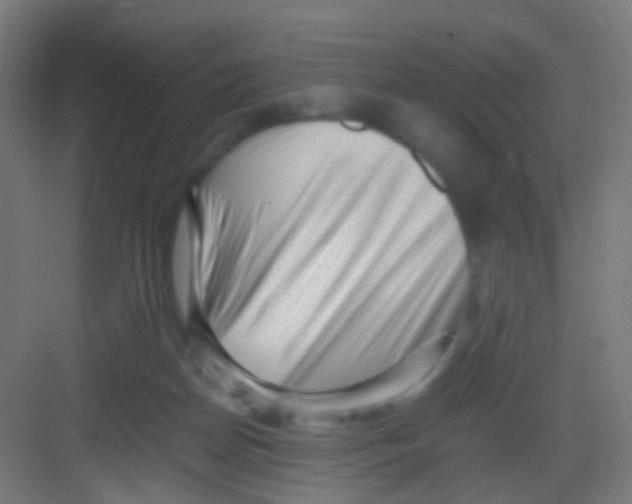 X0000081390170200702090047