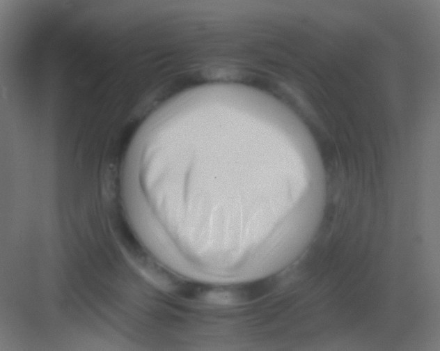 X0000081390171200702090047