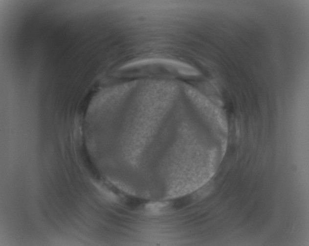 X0000081390172200702090047