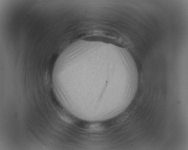 X0000081390173200702090047