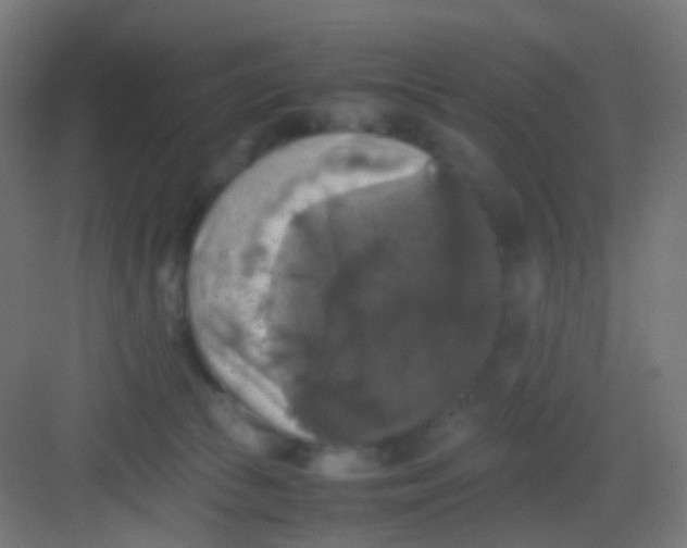 X0000081390177200702090047