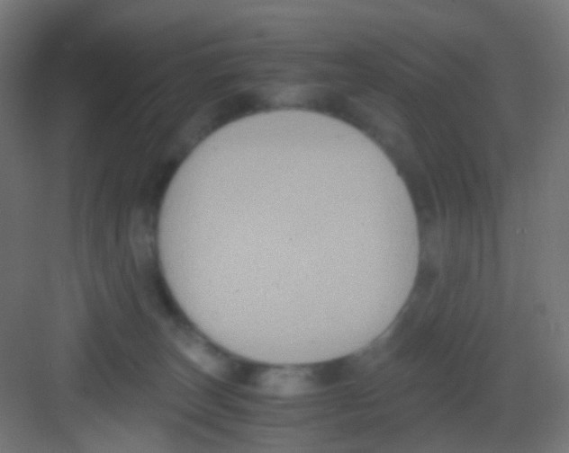 X0000081390179200702090047