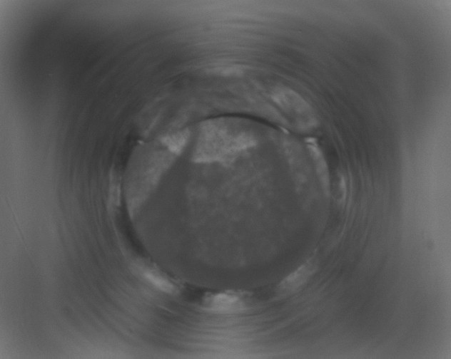 X0000081390180200702090047