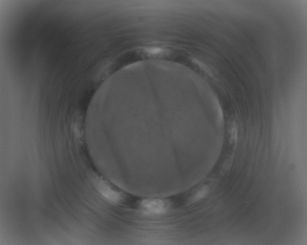 X0000081390181200702090047