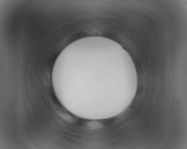 X0000081390183200702090047