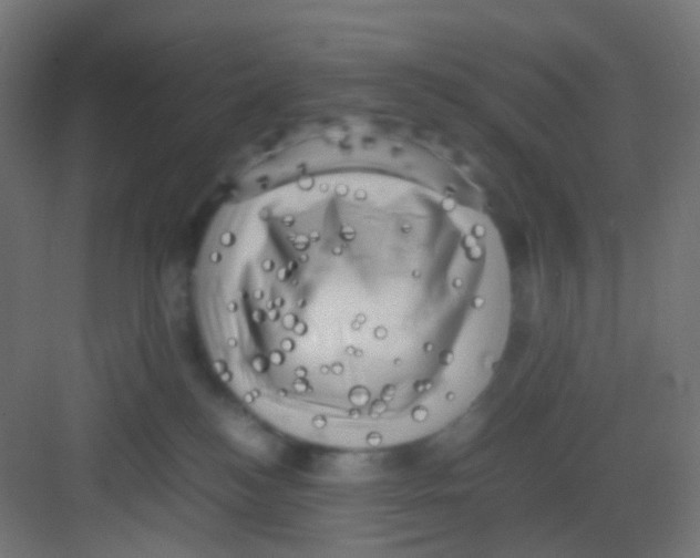 X0000081390184200702090047