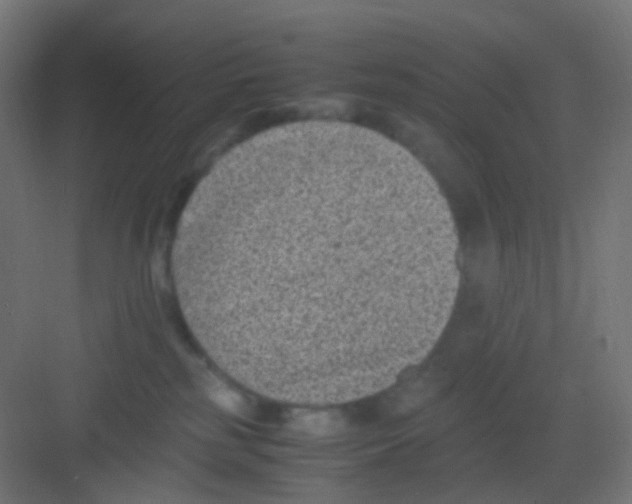 X0000081390185200702090047