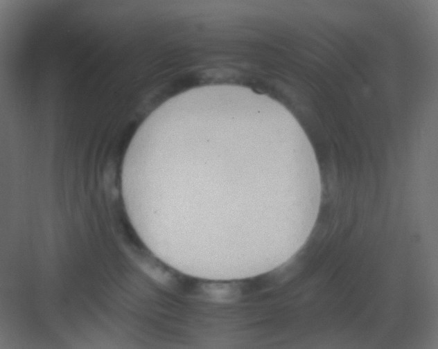 X0000081390187200702090047