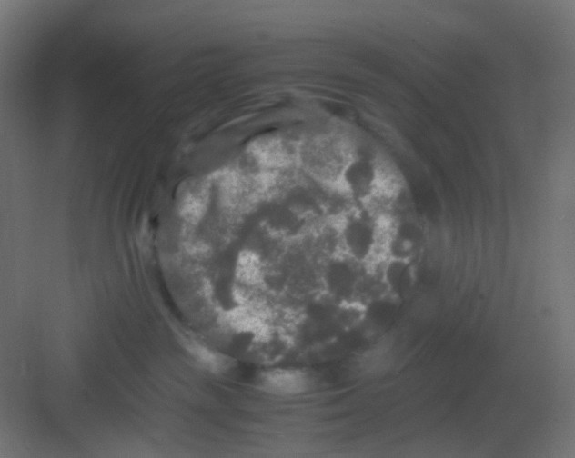 X0000081390189200702090047