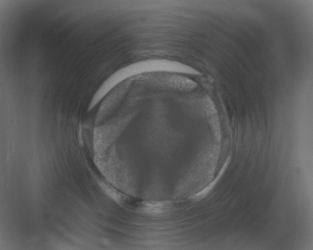 X0000081390190200702090047