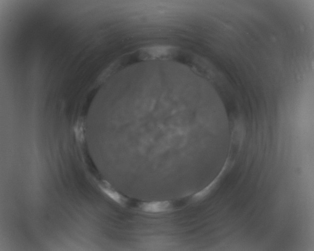 X0000081390191200702090047