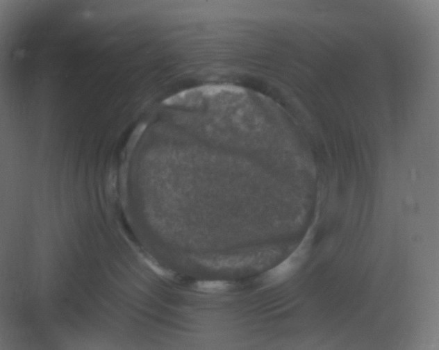 X0000081390192200702090047