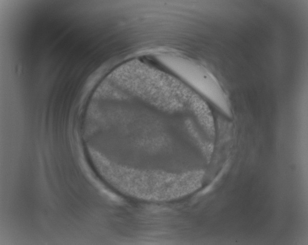 X0000081390193200702090046