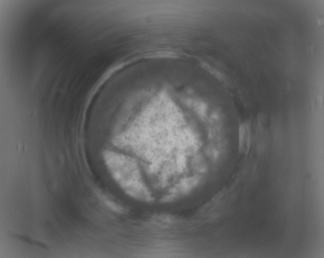 X0000081390195200702090046