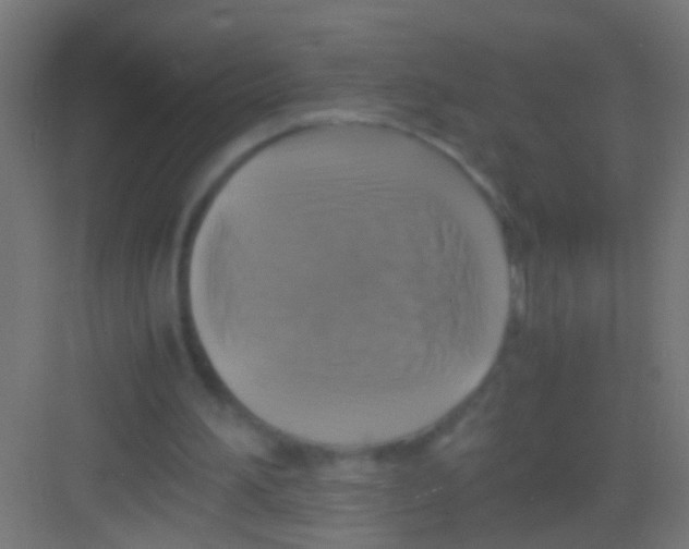 X0000081390196200702090046