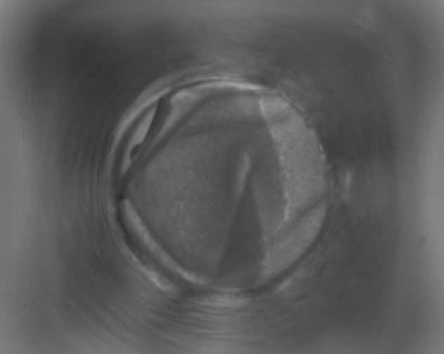 X0000081390198200702090046