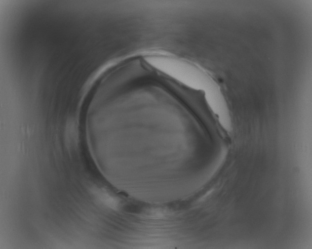 X0000081390200200702090046