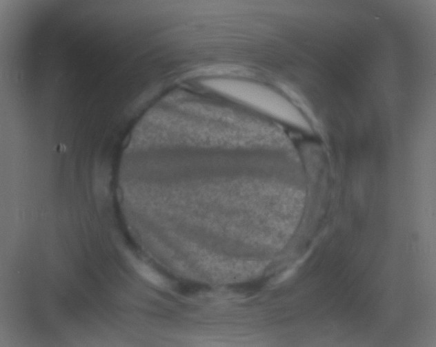 X0000081390201200702090046