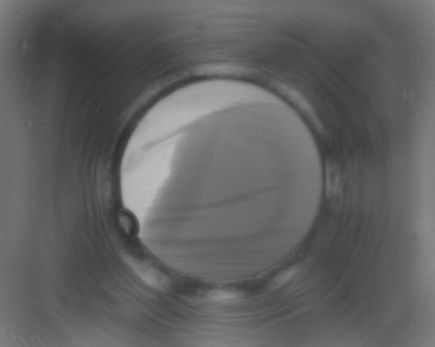 X0000081390204200702090046