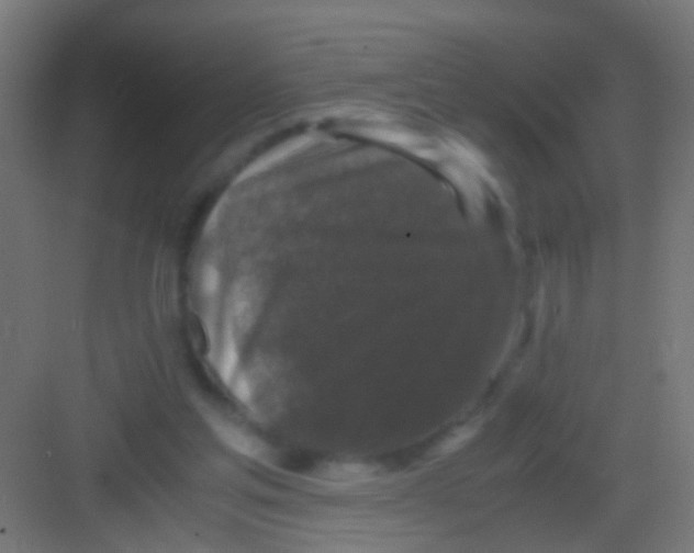 X0000081390205200702090046