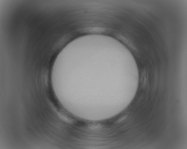 X0000081390206200702090046